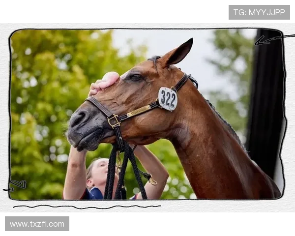 乌克兰籍足球明星的辉煌历程与对国家的深厚情感 乌克兰籍足球明星的辉煌历程与对国家的深厚情感