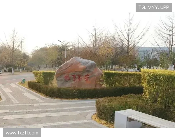 专访李芳：探寻足球领域的成功秘诀与发展之路